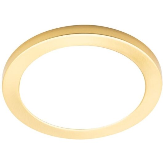 Darly Ceiling or Wall Light Large Flush 18 Watt led Fitting - Satin Brass - Litecraft