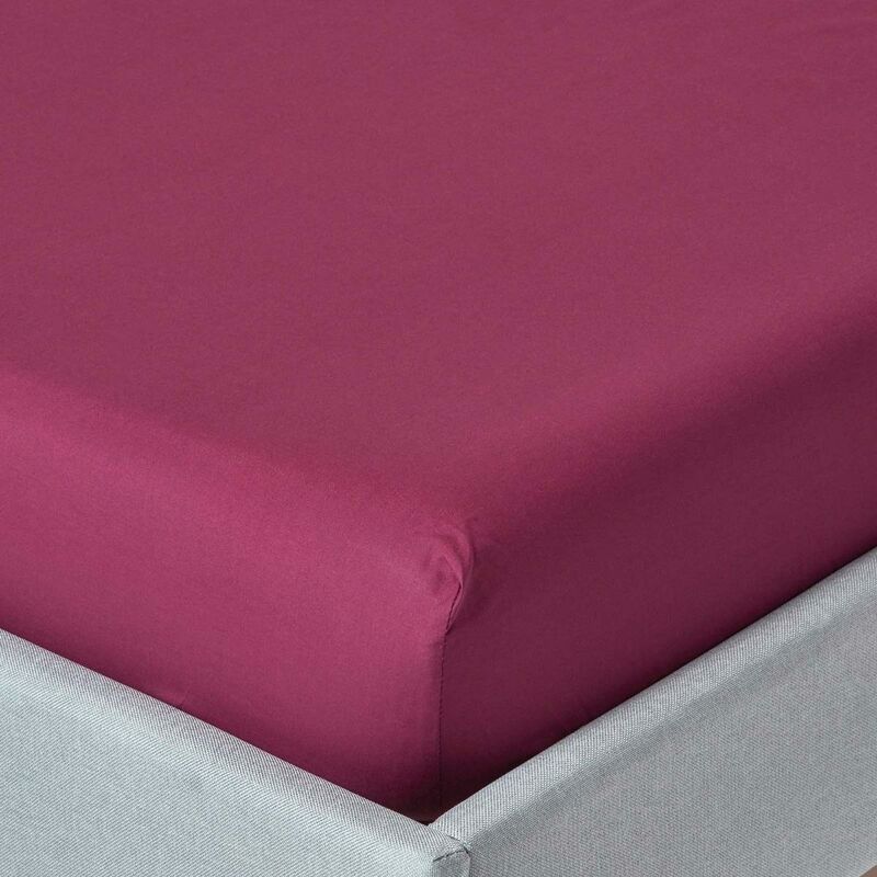 Homescapes - Plum Egyptian Cotton Fitted Sheet 200 Thread Count, Super King - Plum