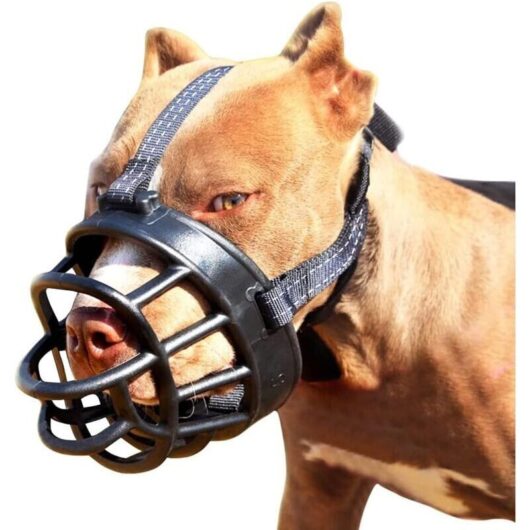Dog Muzzle-Soft Basket Muzzle for Dogs Secure and Comfortable Fit, Better Prevent Biting, Chewing and Barking Muzzle (Size 2)